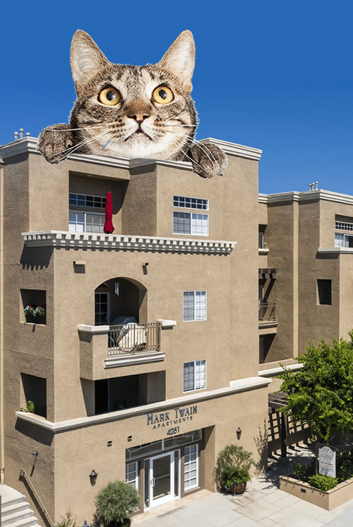 Pet Fiendly Apartments-in-Sherman-Oaks-CA